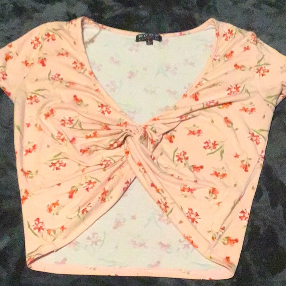 Large pink roses crop top
